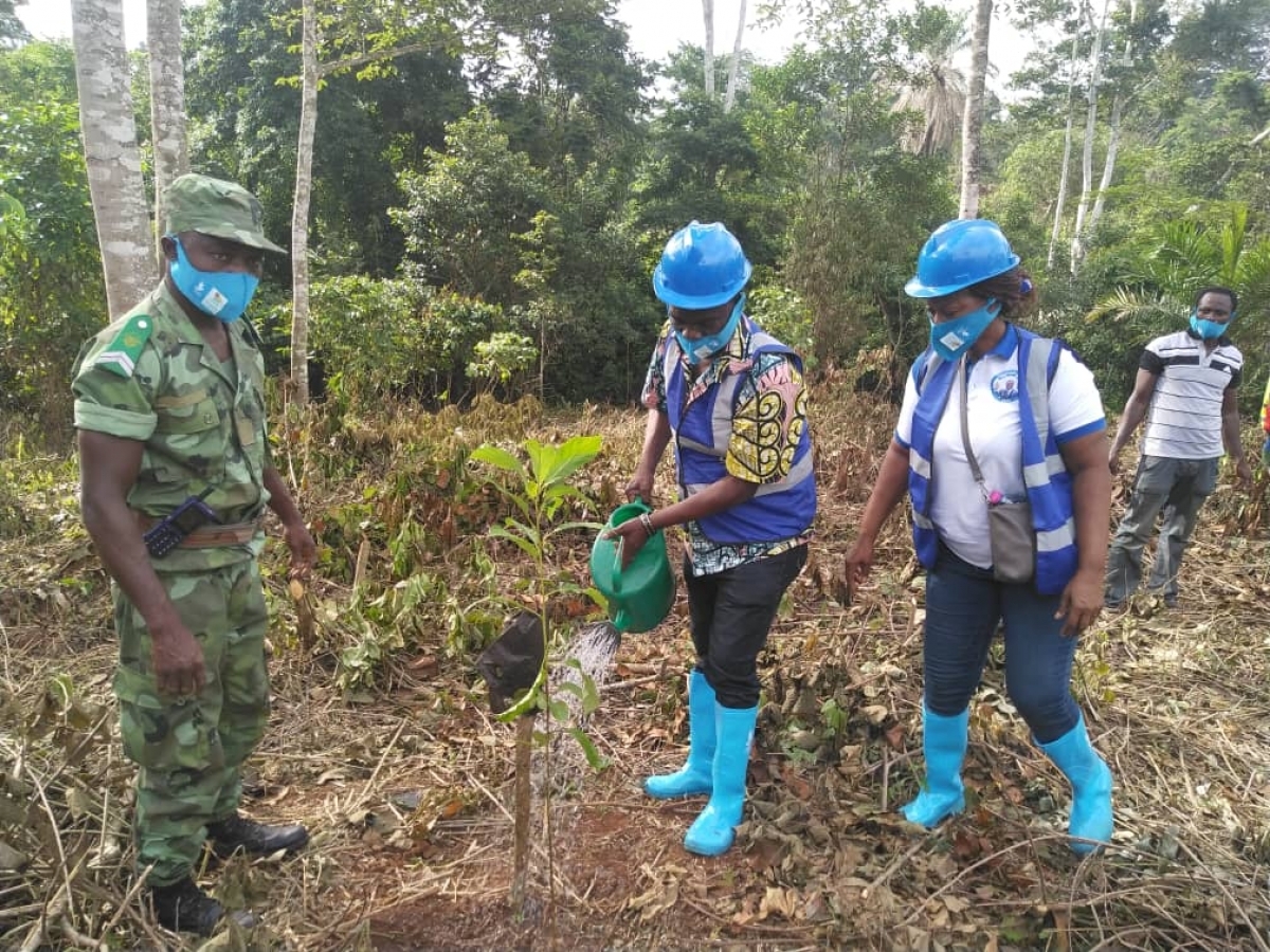 Lire la suite à propos de l’article Environnement : La journée de l&rsquo;arbre bien observée dans la commune Wawa 2