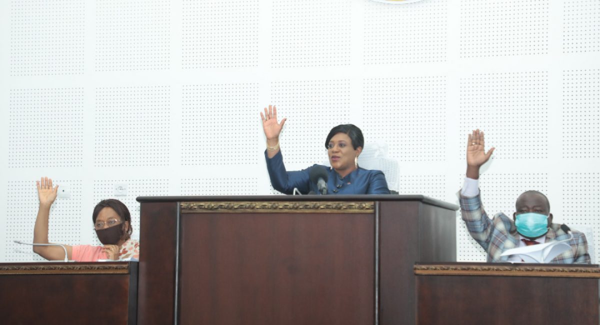 Assemblée Nationale : deux lois adoptées pour renforcer l'inclusion digitale et sociale