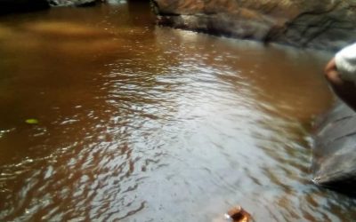 ca332973fc363da77aefed58534dcd5c