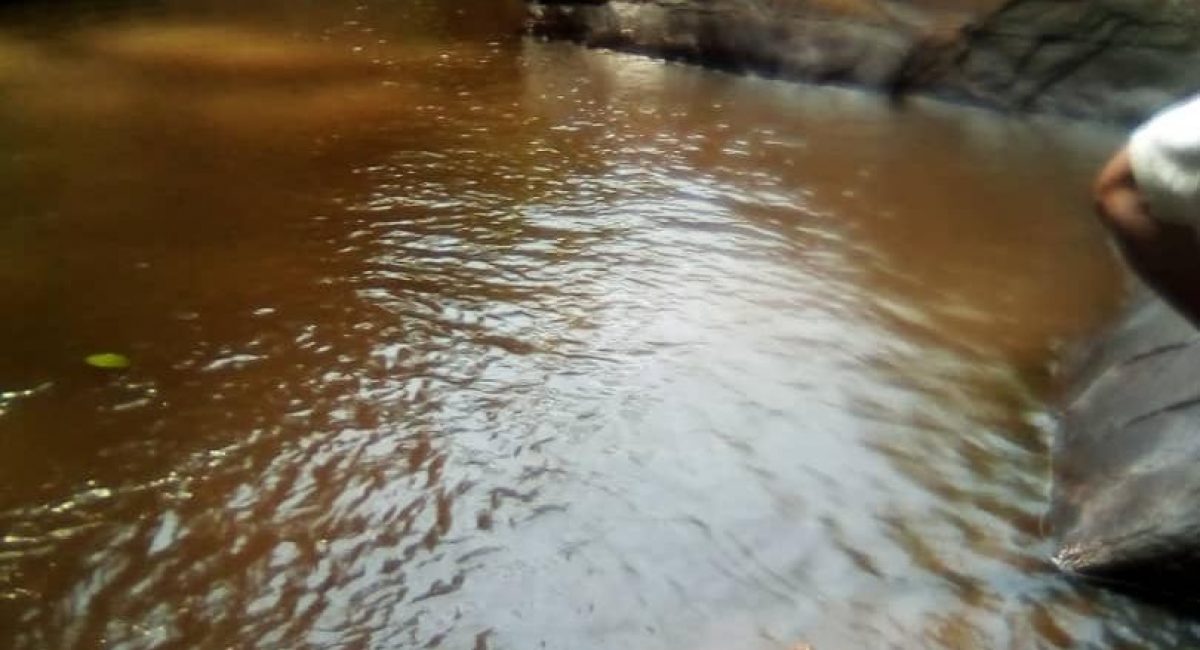 ca332973fc363da77aefed58534dcd5c